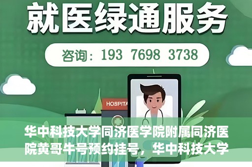 华中科技大学同济医学院附属同济医院黄哥牛号预约挂号，华中科技大学同济医院黄哥牛号预约挂号攻略
