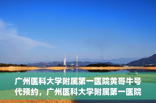 广州医科大学附属第一医院黄哥牛号代预约，广州医科大学附属第一医院黄哥名医号预约攻略