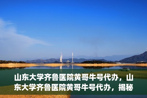 山东大学齐鲁医院黄哥牛号代办，山东大学齐鲁医院黄哥牛号代办，揭秘背后的故事与真相