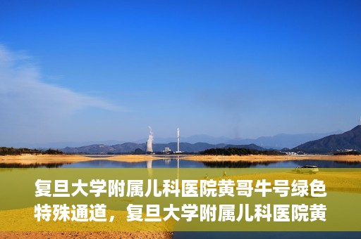 复旦大学附属儿科医院黄哥牛号绿色特殊通道，复旦大学附属儿科医院黄哥牛号，绿色特殊通道的温暖守护