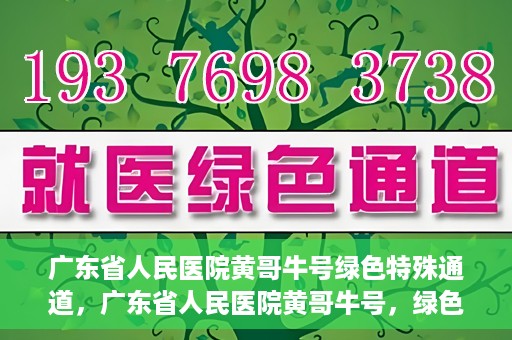 广东省人民医院黄哥牛号绿色特殊通道，广东省人民医院黄哥牛号，绿色特殊通道开启健康之门