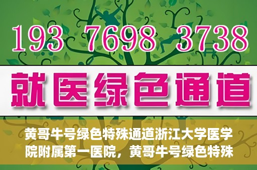 黄哥牛号绿色特殊通道浙江大学医学院附属第一医院，黄哥牛号绿色特殊通道，浙江大学医学院附属第一医院的探索与实践