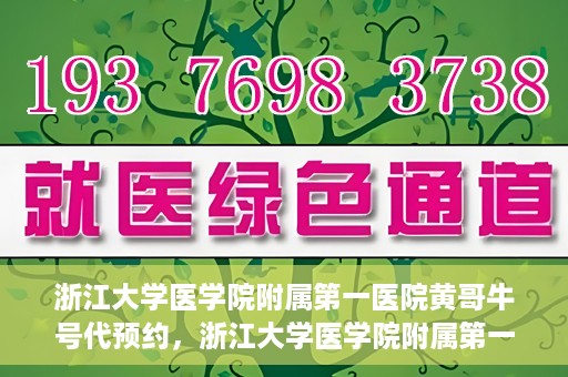 浙江大学医学院附属第一医院黄哥牛号代预约，浙江大学医学院附属第一医院黄哥牛号预约攻略揭秘
