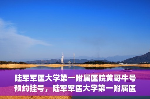 陆军军医大学第一附属医院黄哥牛号预约挂号，陆军军医大学第一附属医院黄哥牛号预约挂号指南，轻松挂号，健康无忧！