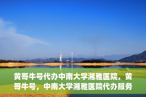 黄哥牛号代办中南大学湘雅医院，黄哥牛号，中南大学湘雅医院代办服务详解
