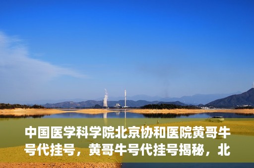 中国医学科学院北京协和医院黄哥牛号代挂号，黄哥牛号代挂号揭秘，北京协和医院挂号背后的故事