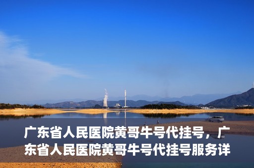 广东省人民医院黄哥牛号代挂号，广东省人民医院黄哥牛号代挂号服务详解