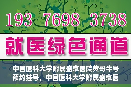 中国医科大学附属盛京医院黄哥牛号预约挂号，中国医科大学附属盛京医院黄哥牛号，预约挂号指南