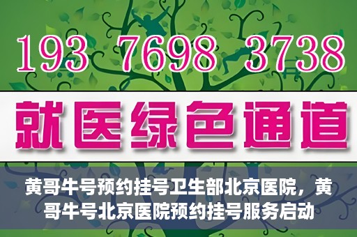 黄哥牛号预约挂号卫生部北京医院，黄哥牛号北京医院预约挂号服务启动