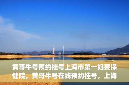 黄哥牛号预约挂号上海市第一妇婴保健院，黄哥牛号在线预约挂号，上海市第一妇婴保健院的便捷就医之旅