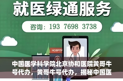 中国医学科学院北京协和医院黄哥牛号代办，黄哥牛号代办，揭秘中国医学科学院北京协和医院背后的故事