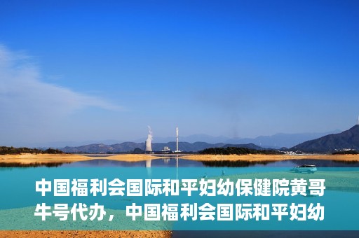 中国福利会国际和平妇幼保健院黄哥牛号代办，中国福利会国际和平妇幼保健院黄哥牛号业务代办全解析