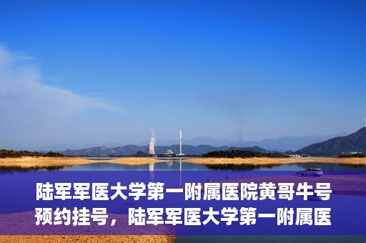 陆军军医大学第一附属医院黄哥牛号预约挂号，陆军军医大学第一附属医院黄哥牛号预约挂号指南，轻松挂号，健康无忧！