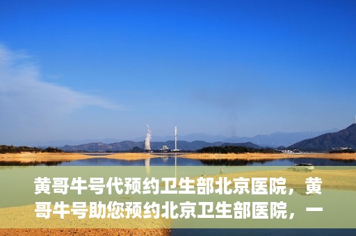 黄哥牛号代预约卫生部北京医院，黄哥牛号助您预约北京卫生部医院，一站式便捷服务开启