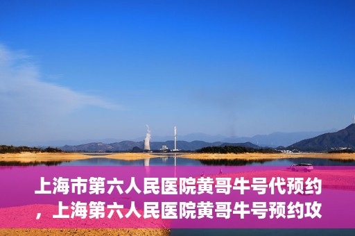 上海市第六人民医院黄哥牛号代预约，上海第六人民医院黄哥牛号预约攻略，轻松解决挂号难题