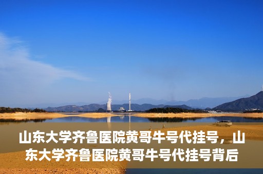 山东大学齐鲁医院黄哥牛号代挂号，山东大学齐鲁医院黄哥牛号代挂号背后的故事与探索