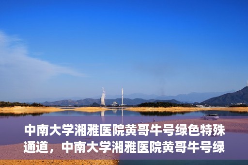 中南大学湘雅医院黄哥牛号绿色特殊通道，中南大学湘雅医院黄哥牛号绿色特殊通道，医疗服务的创新实践与人文关怀的体现