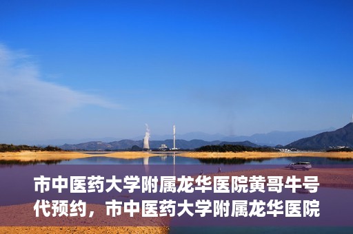 市中医药大学附属龙华医院黄哥牛号代预约，市中医药大学附属龙华医院黄哥牛号预约服务启动