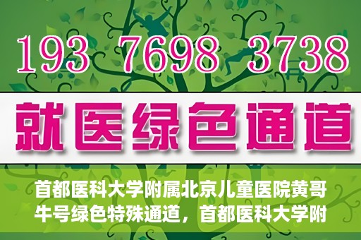 首都医科大学附属北京儿童医院黄哥牛号绿色特殊通道，首都医科大学附属北京儿童医院，黄哥牛号绿色特殊通道，助力儿童健康之路