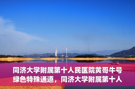 同济大学附属第十人民医院黄哥牛号绿色特殊通道，同济大学附属第十人民医院黄哥牛号，绿色特殊通道开启健康之门