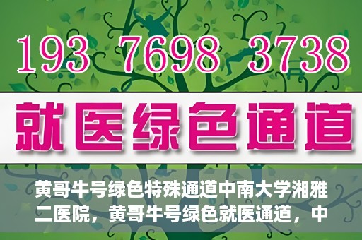 黄哥牛号绿色特殊通道中南大学湘雅二医院，黄哥牛号绿色就医通道，中南大学湘雅二医院特色服务揭秘