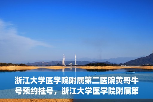 浙江大学医学院附属第二医院黄哥牛号预约挂号，浙江大学医学院附属第二医院黄哥名医牛号预约挂号攻略