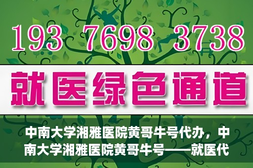 中南大学湘雅医院黄哥牛号代办，中南大学湘雅医院黄哥牛号——就医代办服务详解