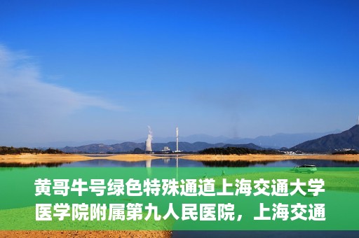 黄哥牛号绿色特殊通道上海交通大学医学院附属第九人民医院，上海交通大学医学院附属第九人民医院开通绿色特殊通道——黄哥牛号服务新篇章