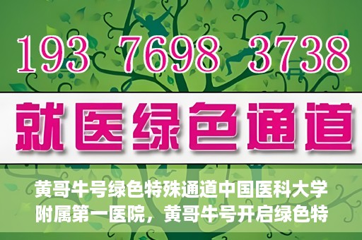 黄哥牛号绿色特殊通道中国医科大学附属第一医院，黄哥牛号开启绿色特殊通道，中国医科大学附属第一医院助力健康中国行动