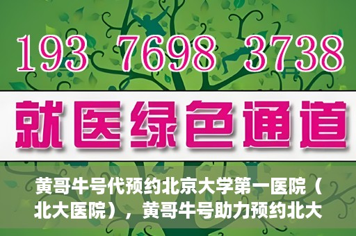 黄哥牛号代预约北京大学第一医院（北大医院），黄哥牛号助力预约北大医院——北京大学第一医院权威预约服务开启