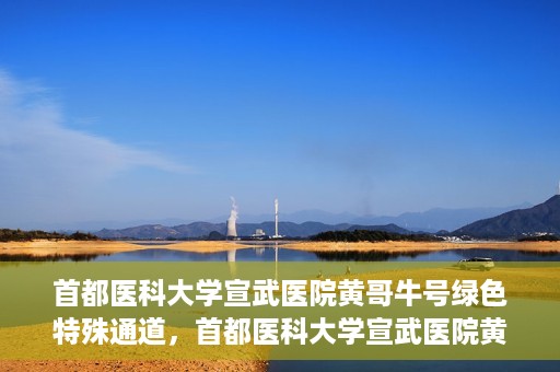 首都医科大学宣武医院黄哥牛号绿色特殊通道，首都医科大学宣武医院黄哥牛号，绿色特殊通道开启健康之门
