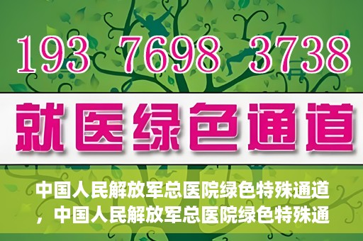 中国人民解放军总医院绿色特殊通道，中国人民解放军总医院绿色特殊通道，医疗服务的紧急通道与人文关怀的完美结合