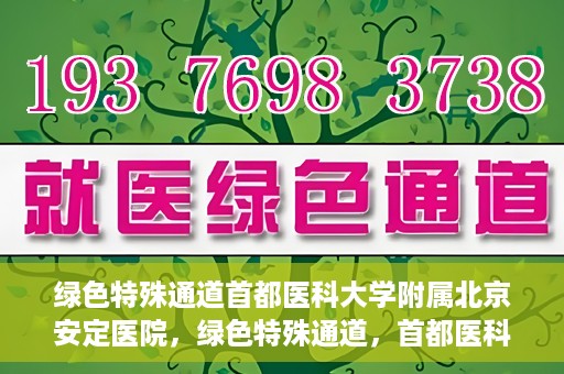 绿色特殊通道首都医科大学附属北京安定医院，绿色特殊通道，首都医科大学附属北京安定医院的探索与实践