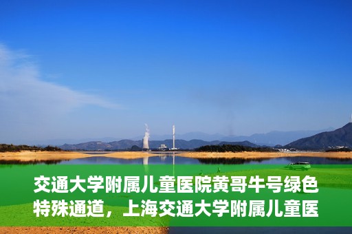 交通大学附属儿童医院黄哥牛号绿色特殊通道，上海交通大学附属儿童医院黄哥牛号绿色特殊通道揭秘