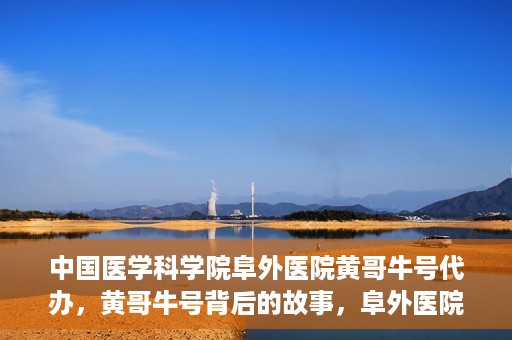 中国医学科学院阜外医院黄哥牛号代办，黄哥牛号背后的故事，阜外医院名医揭秘与医疗服务的深度解读
