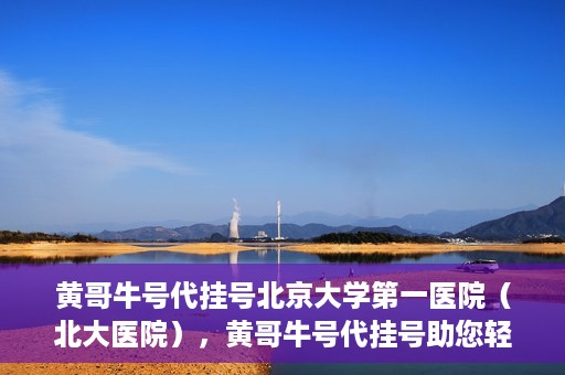 黄哥牛号代挂号北京大学第一医院（北大医院），黄哥牛号代挂号助您轻松预约北京大学第一医院（北大医院）专家号