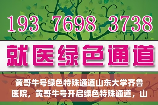 黄哥牛号绿色特殊通道山东大学齐鲁医院，黄哥牛号开启绿色特殊通道，山东大学齐鲁医院焕新篇章
