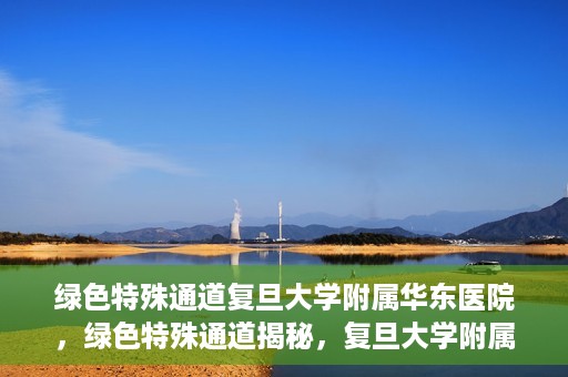 绿色特殊通道复旦大学附属华东医院，绿色特殊通道揭秘，复旦大学附属华东医院的独特之处