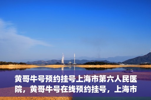 黄哥牛号预约挂号上海市第六人民医院，黄哥牛号在线预约挂号，上海市第六人民医院就医新选择