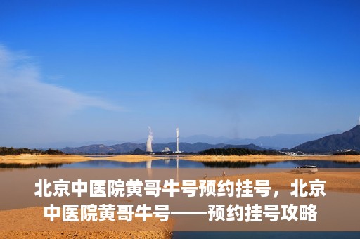 北京中医院黄哥牛号预约挂号，北京中医院黄哥牛号——预约挂号攻略