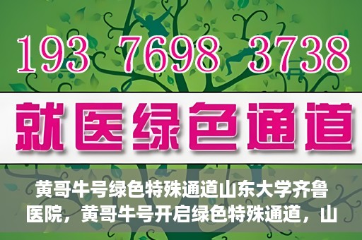 黄哥牛号绿色特殊通道山东大学齐鲁医院，黄哥牛号开启绿色特殊通道，山东大学齐鲁医院焕新篇章