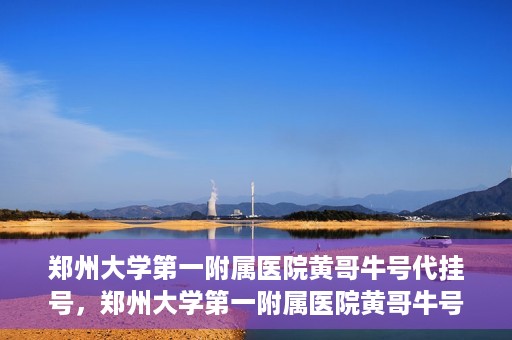 郑州大学第一附属医院黄哥牛号代挂号，郑州大学第一附属医院黄哥牛号代挂号攻略揭秘