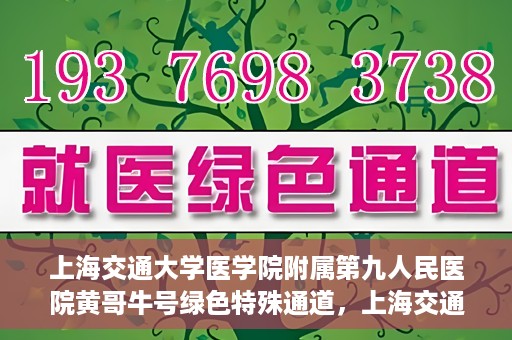 上海交通大学医学院附属第九人民医院黄哥牛号绿色特殊通道，上海交通大学医学院附属第九人民医院黄哥牛号，绿色特殊通道开启健康之门