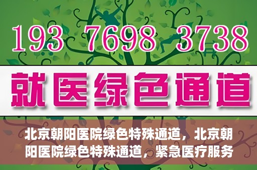 北京朝阳医院绿色特殊通道，北京朝阳医院绿色特殊通道，紧急医疗服务的速度与温情