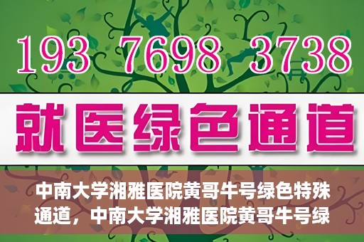 中南大学湘雅医院黄哥牛号绿色特殊通道，中南大学湘雅医院黄哥牛号绿色特殊通道，医疗服务的创新实践与人文关怀的体现