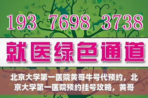 北京大学第一医院黄哥牛号代预约，北京大学第一医院预约挂号攻略，黄哥牛号预约详解
