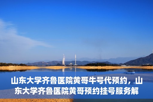 山东大学齐鲁医院黄哥牛号代预约，山东大学齐鲁医院黄哥预约挂号服务解析