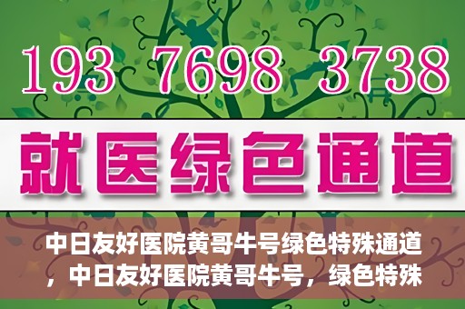 中日友好医院黄哥牛号绿色特殊通道，中日友好医院黄哥牛号，绿色特殊通道开启健康之门