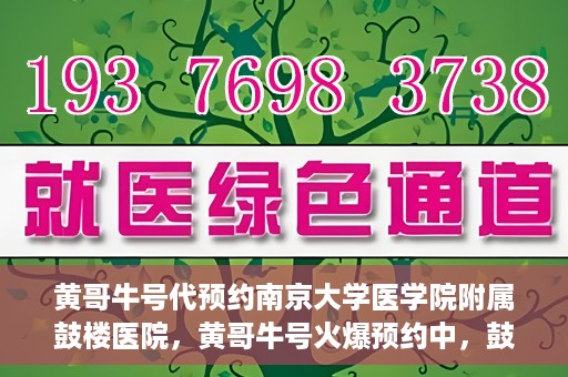 黄哥牛号代预约南京大学医学院附属鼓楼医院，黄哥牛号火爆预约中，鼓楼医院携手南京大学医学院开启健康新篇章
