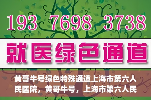 黄哥牛号绿色特殊通道上海市第六人民医院，黄哥牛号，上海市第六人民医院绿色特殊通道揭秘
